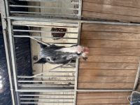 Customer Success Gallery - 